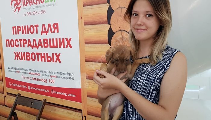Выставка в ТЦ OZ Молл 05-06 октября.