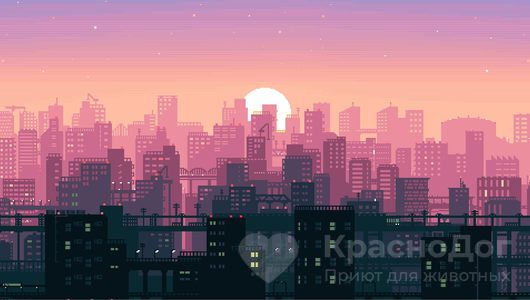 Сбор средств на новый рентген кабинет