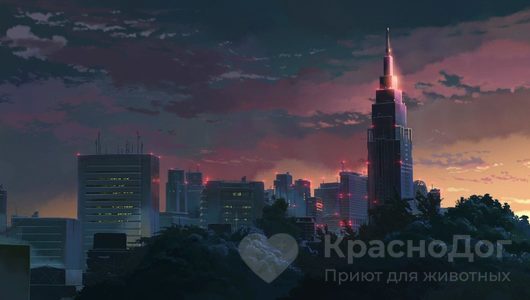 Проект 2