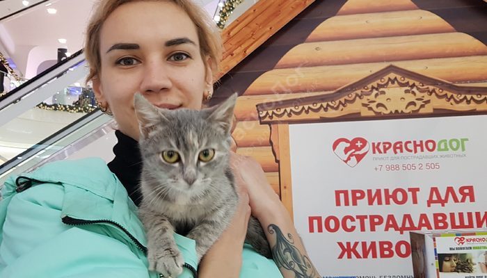 Выставка в ТЦ OZ Молл 30 ноября и 1 декабря