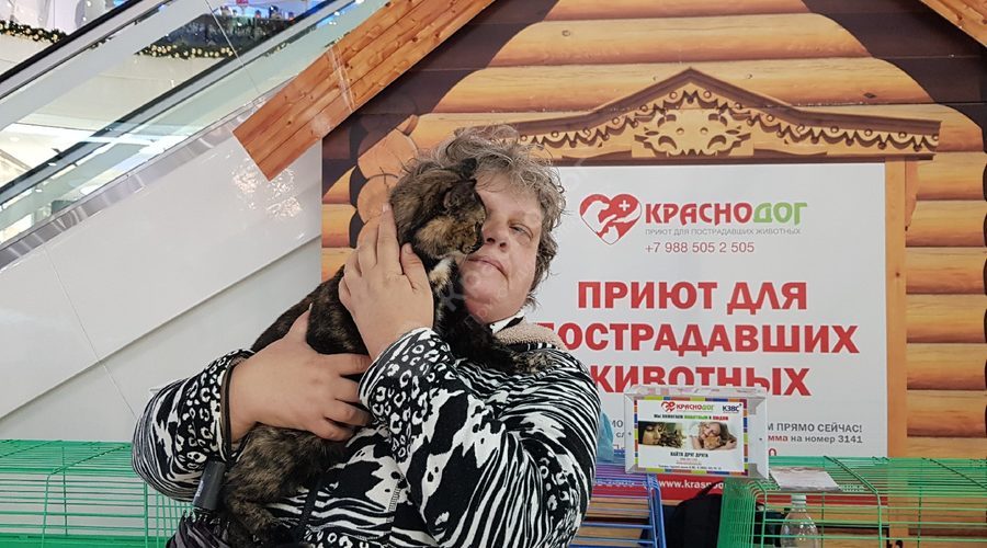 Отчет Краснодога, 19 июля.