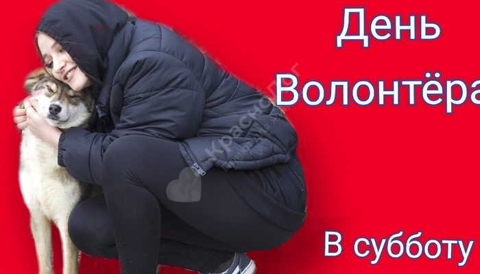29 февраля день волонтёра