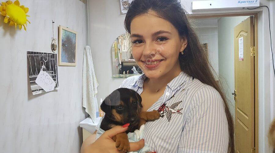 Отчет Краснодога, 9 августа