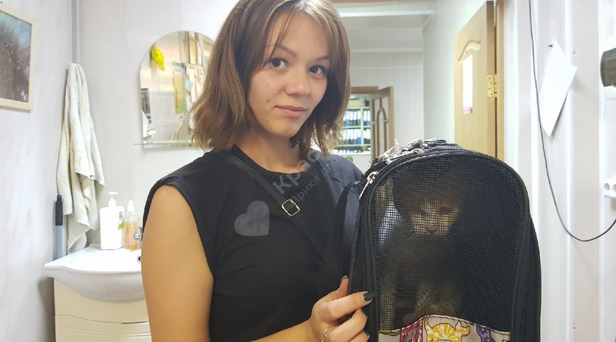 Отчет Краснодога, 2 августа
