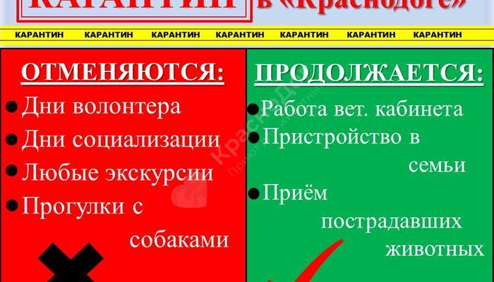 Внимание! Экскурсии по приюту не проводятся!