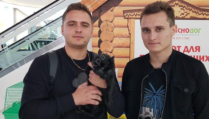 Выставка в ТЦ OZ Молл 19 и 20 октября