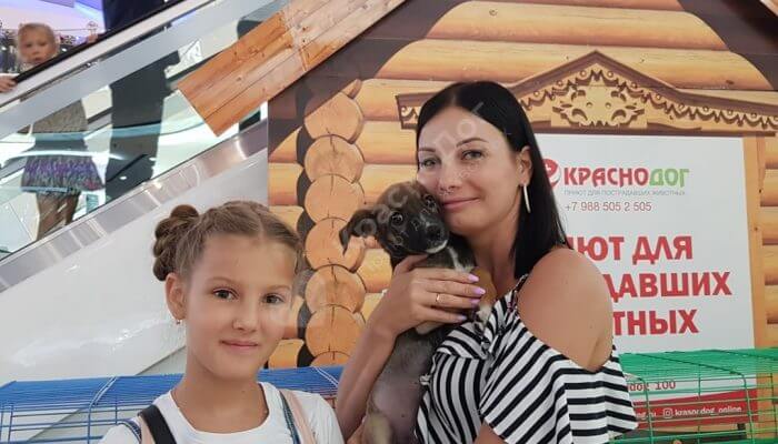 Выставка в ТЦ 