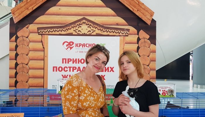 Результаты акции выходного дня в ТЦ 