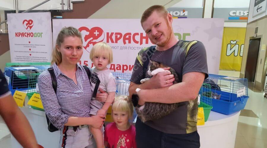Выставка в Мегацентре 