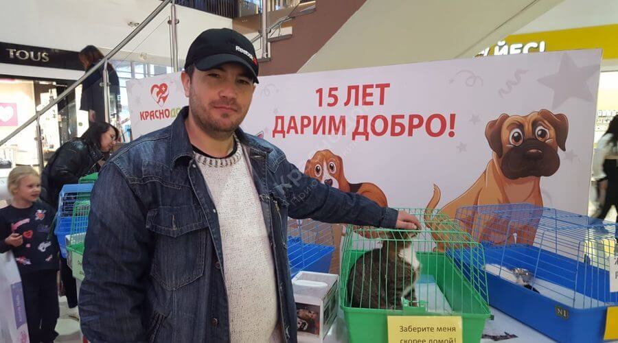 Выставка в Мегацентре 