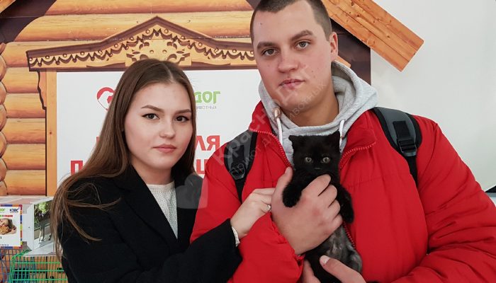 Отчет выставки в ТЦ 